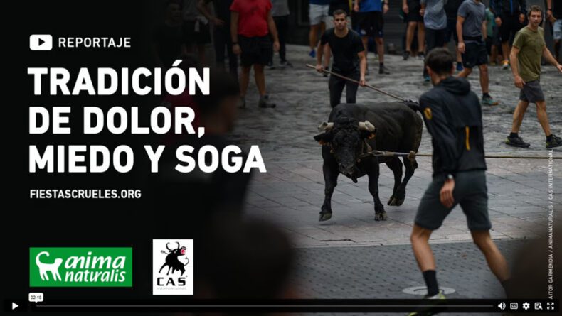 Te pido que durante dos minutos veas a través de nuestros ojos.