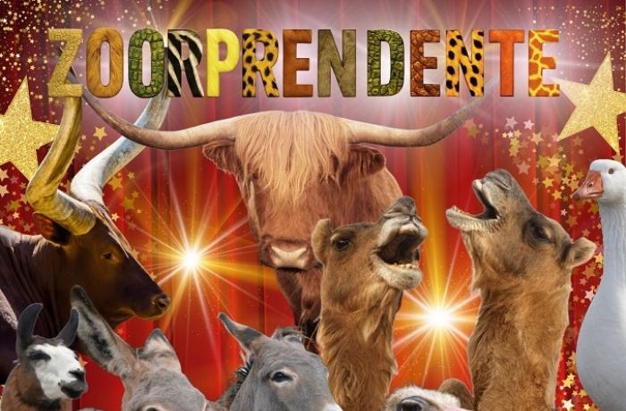 ¿Circos con animales en 2025?