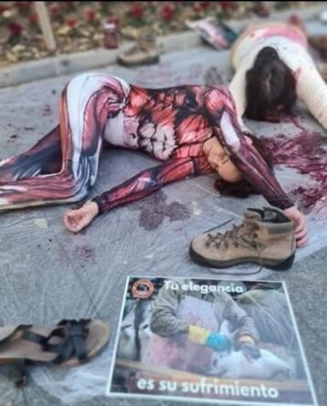 Denuncia del sufrimiento animal