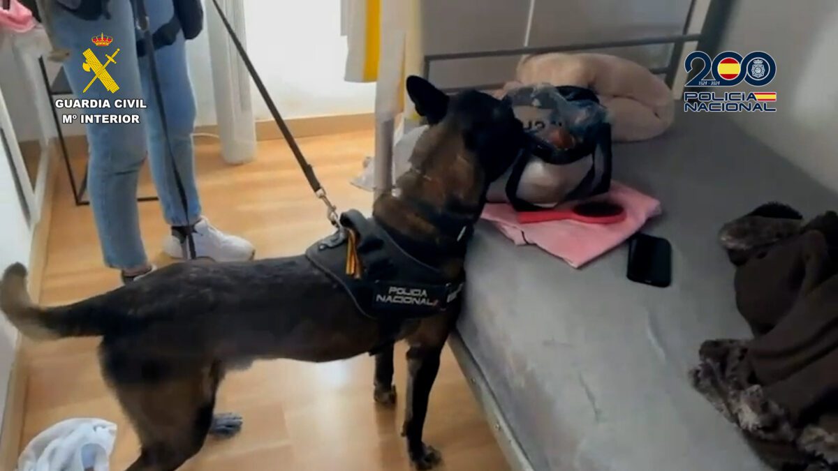 Once mujeres liberadas y siete detenidos