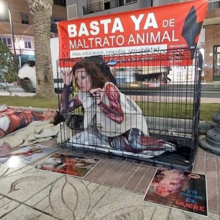 Una performance para crear conciencia