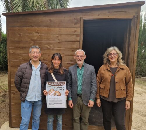 Un nuevo espacio en Alboraya para alojar temporalmente gatos comunitarios en recuperación