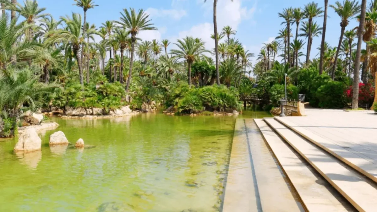 El nuevo pulmón de Alicante El Parque El Palmeral resurge como el destino favorito tras una inversión millonaria