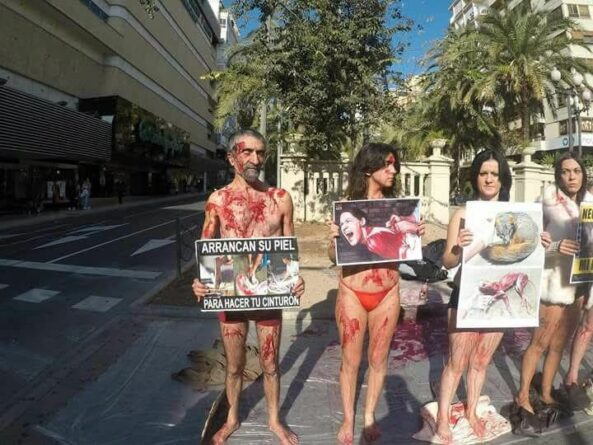 Qué se hará durante la concentración