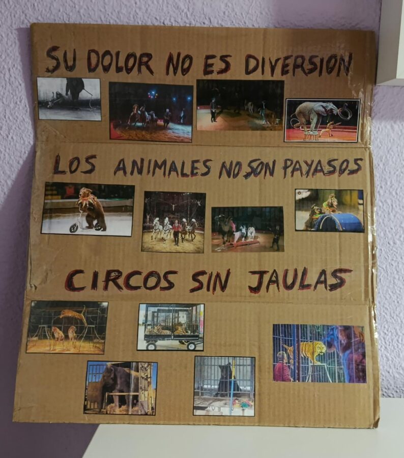 Siguen las protestas en el Circ de Nadal por su empeño en esclavizar animales