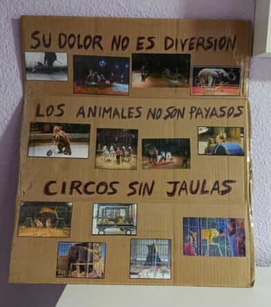 Siguen las protestas en el Circ de Nadal por su empeño en esclavizar animales