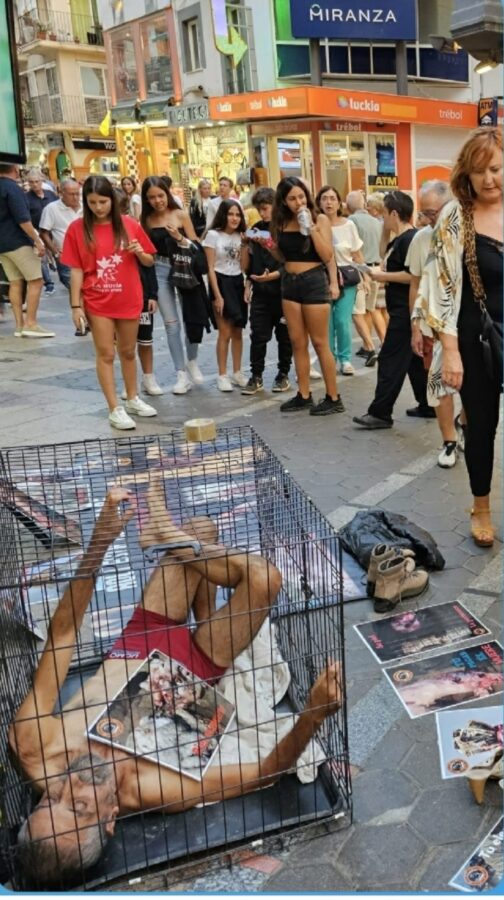 Sobre Animal Save Movement