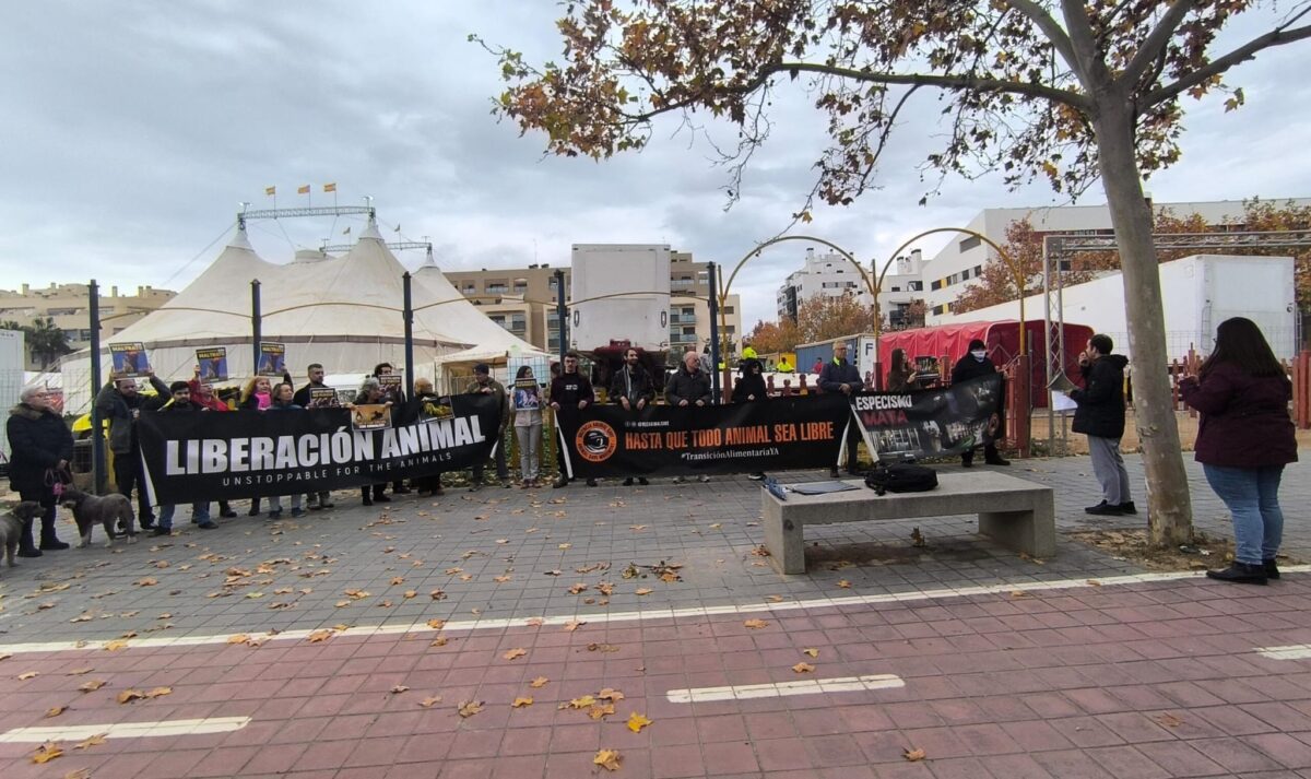 Volvemos a protestar frente al circo de las cavernas por su uso de animales
