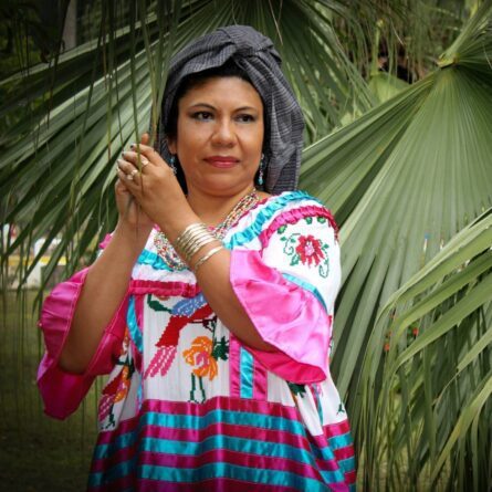 Lengua oaxaca en Alicante: 3 claves que explican la noticia hoy