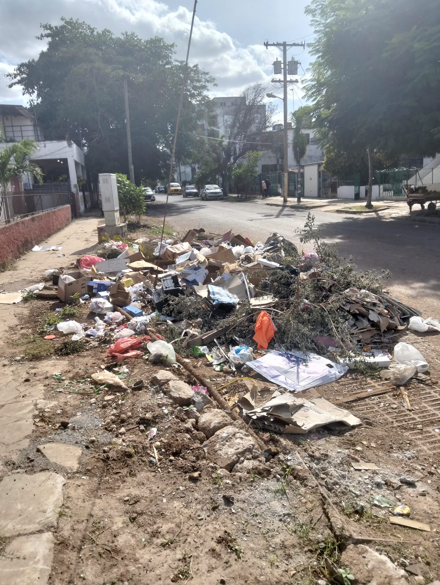 Diario de Una Española en la Habana