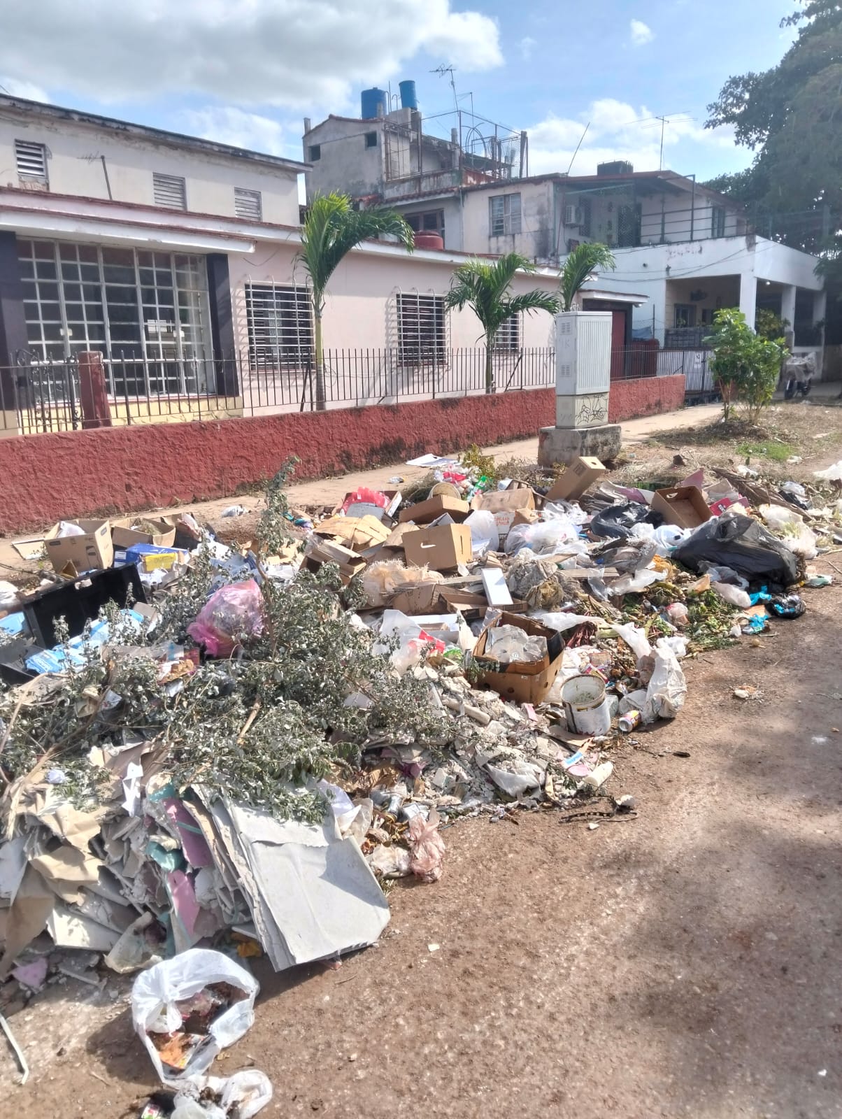 Diario de Una Española en la Habana