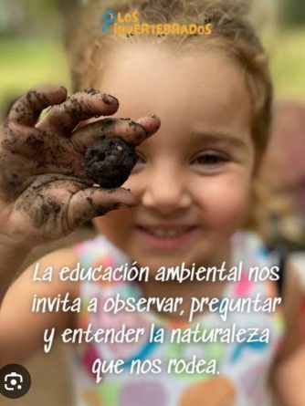 El Ayuntamiento de Mislata sigue sin plantar los árboles