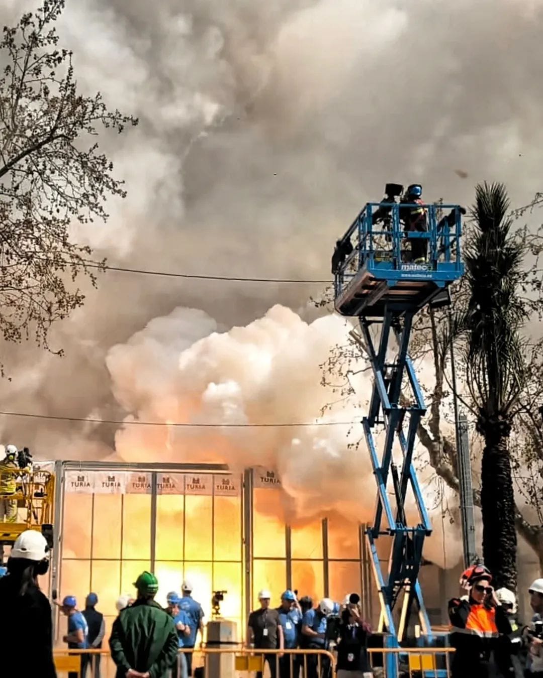 La Plataforma Defensa Animal se suma a las críticas contra la pirotecnia