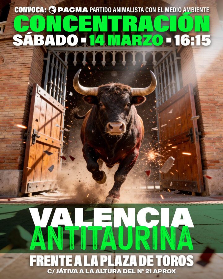 PACMA llama a las calles de Valencia contra la tauromaquia este sábado 14 de marzo