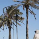 La Borrasca Regina acecha la provincia de Alicante: Alerta por temporal de viento, lluvias y fuerte oleaje