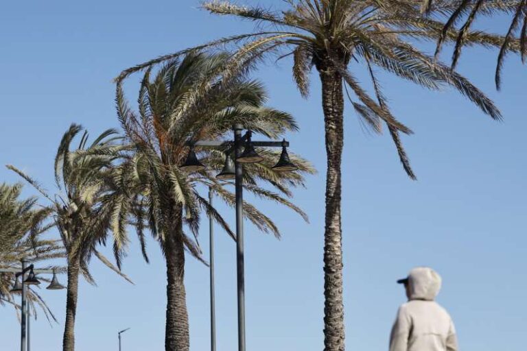 La Borrasca Regina acecha la provincia de Alicante: Alerta por temporal de viento, lluvias y fuerte oleaje