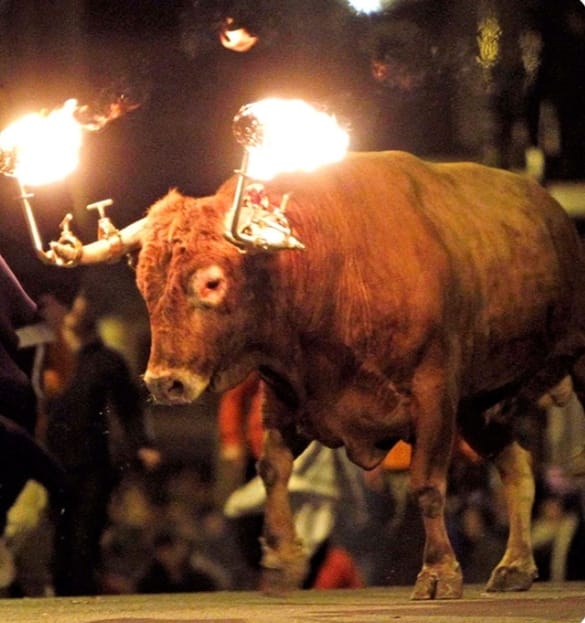 Suspendido el juicio contra un taurino de Albal 