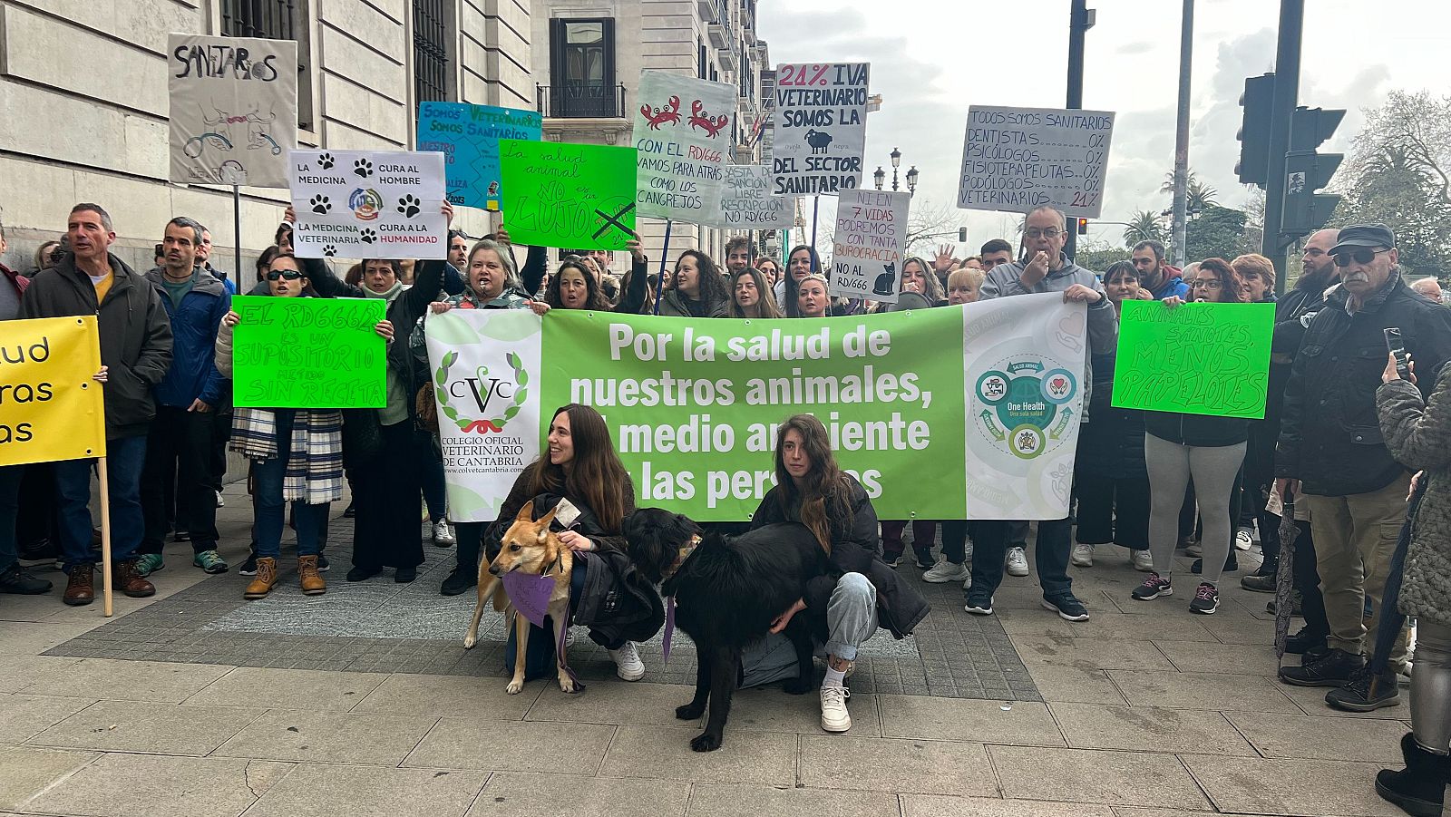 Ucin albacete denuncia el abandono animal en la ciudad ante la falta de veterinarios de urgencias 24 horas
