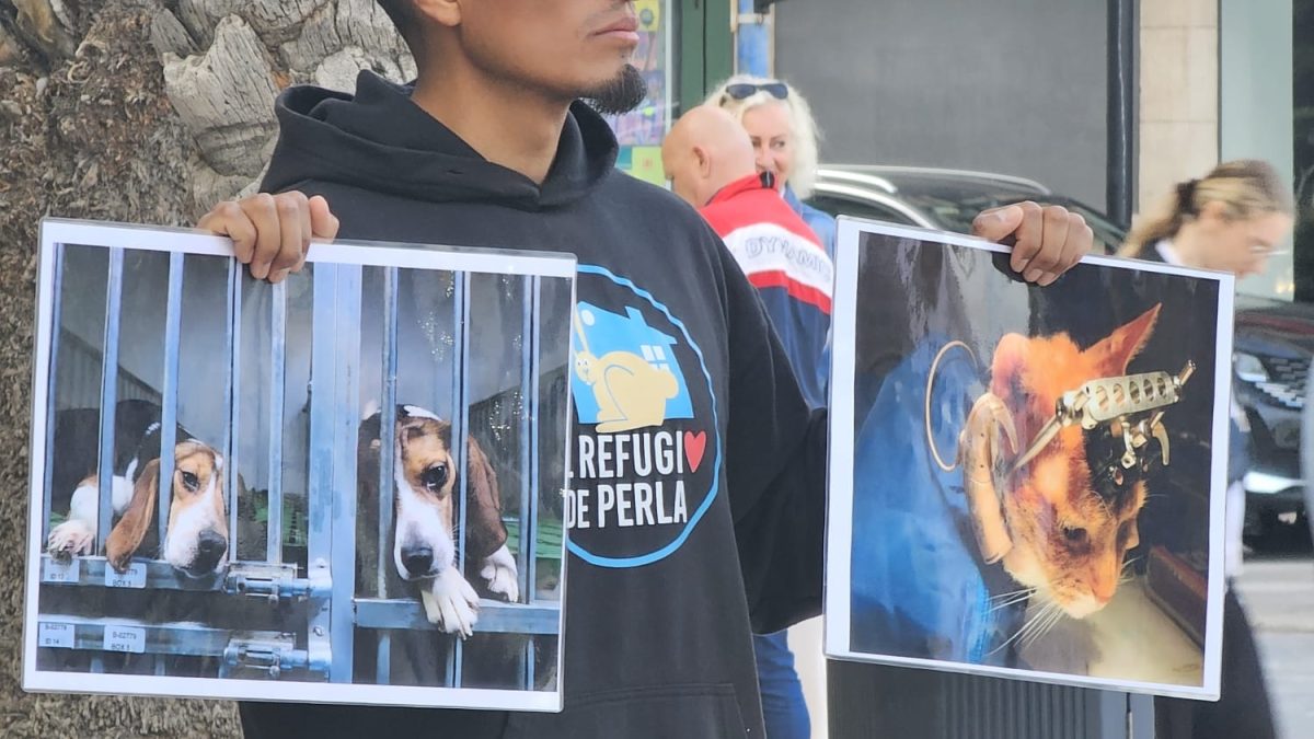 Activistas se concentran en Alicante contra la experimentación animal