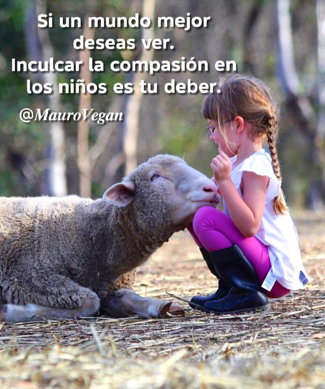 Defensa Animal llevamos tiempo solicitando una reunión con el consistorio