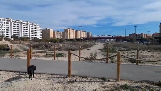 El proyecto del Parque Central presentará el 13 de abril