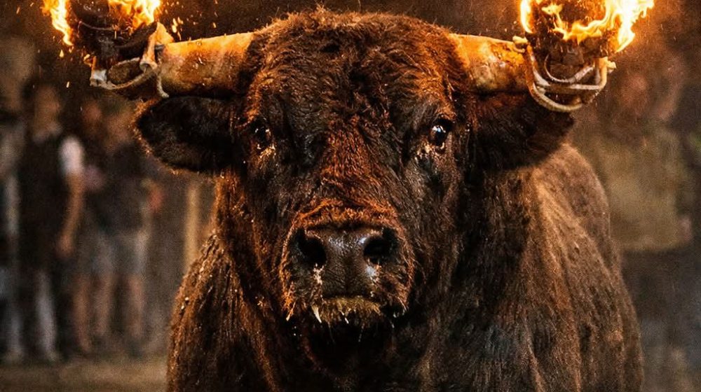 PACMA también reclama al futuro alcalde de Moncada suprimir los actos con animales