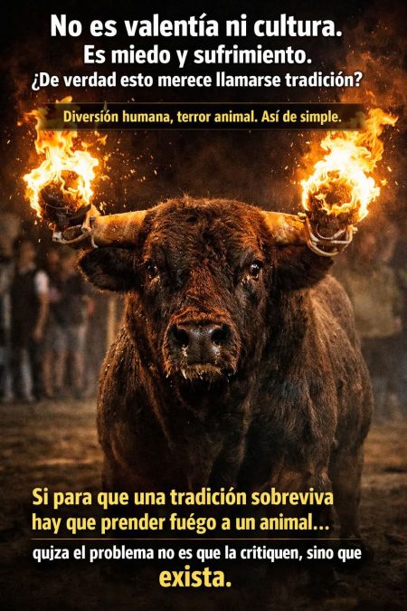 PACMA también reclama al futuro alcalde de Moncada suprimir los actos con animales