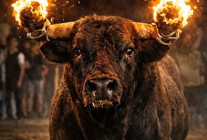 PACMA también reclama al futuro alcalde de Moncada suprimir los actos con animales