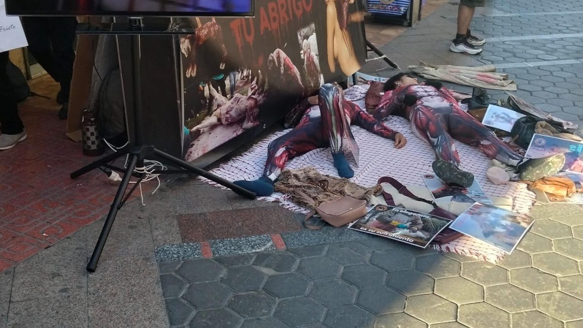 Realizan una protesta contra la industria peletera en pleno centro de Benidorm