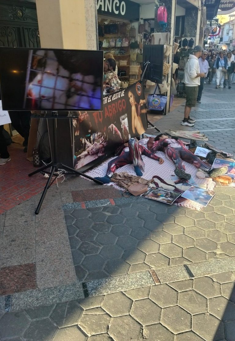 Realizan una protesta contra la industria peletera en pleno centro de Benidorm
