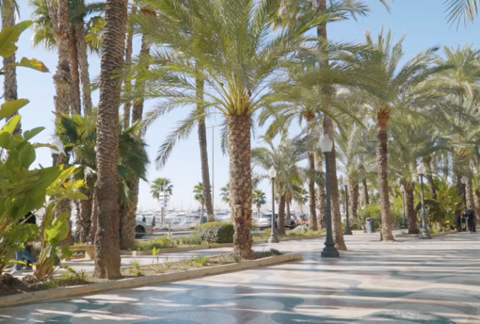 Vivir en Alicante: servicios, clima y vida mediterránea junto al mar
