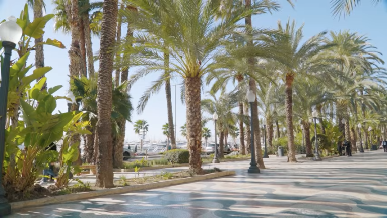 Vivir en Alicante: servicios, clima y vida mediterránea junto al mar