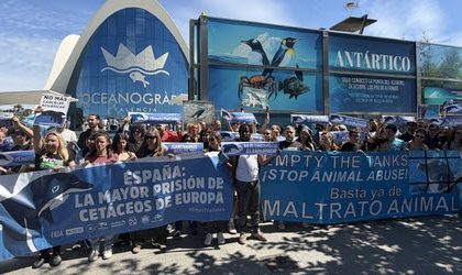 Concentración frente al Oceanogràfic de Valencia para exigir el fin del cautiverio de cetáceos