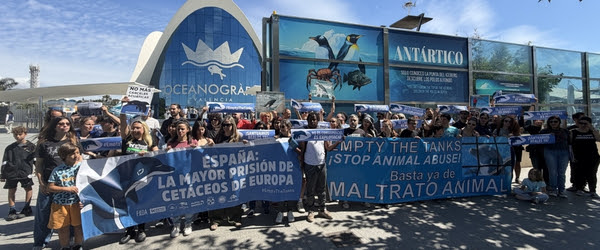 Concentración frente al Oceanogràfic de Valencia para exigir el fin del cautiverio de cetáceos