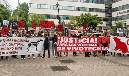 Finaliza el juicio del caso Vivotecnia con petición de condena por maltrato anima