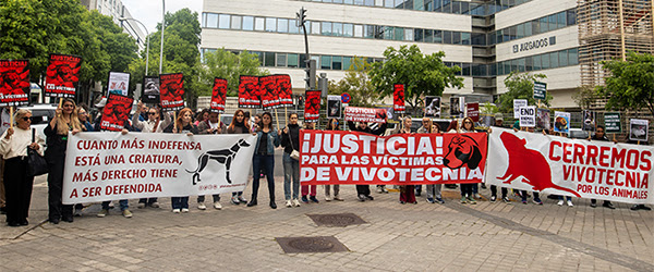 Finaliza el juicio del caso Vivotecnia con petición de condena por maltrato anima