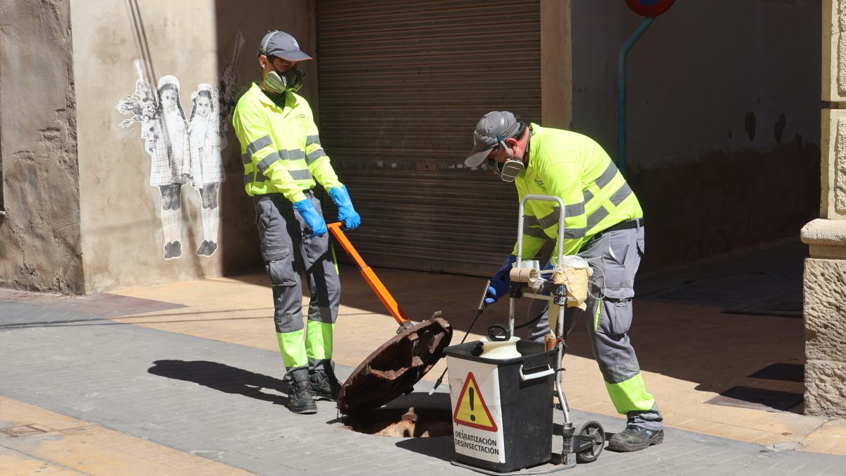 Novelda mantiene activa la campaña anual de control de plagas en alcantarillado y edificios públicos