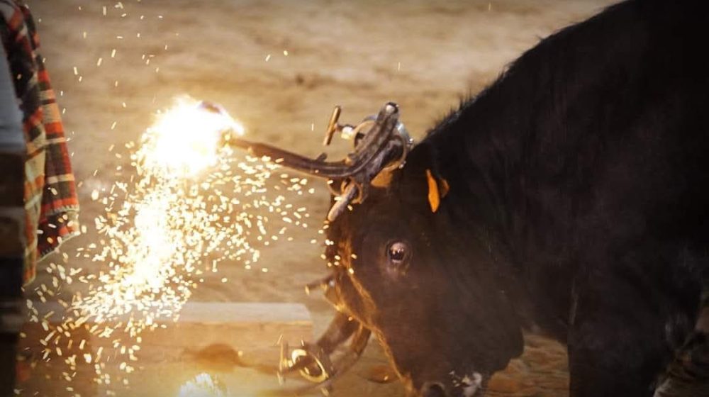 Presento una instancia en el Ayuntamiento de Moncada para poder tratar el tema de los animales