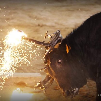 Presento una instancia en el Ayuntamiento de Moncada para poder tratar el tema de los animales