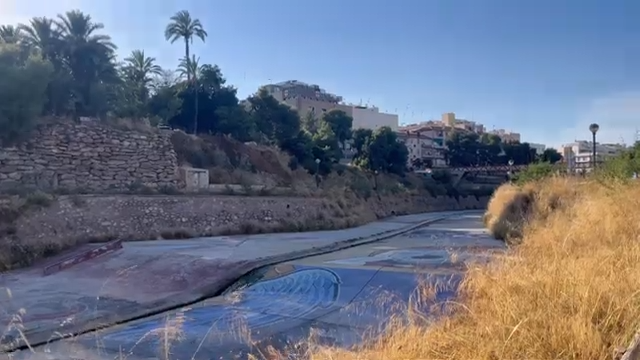 Pros y contras de vivir en Elche