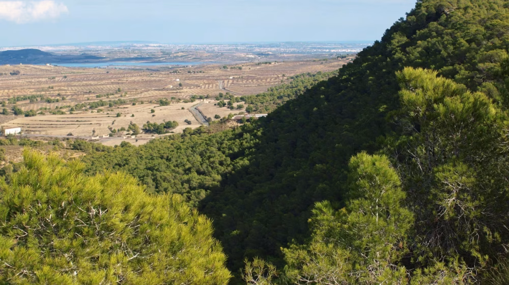 Sierra Escalona, futuro parque natural de Alicante