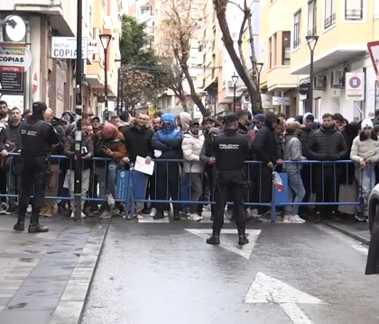 Vox Alicante regularización de migrantes en el Ayuntamiento de Alicante
