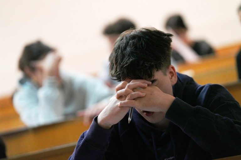 Alicantinos, entre los españoles que más claro tienen qué grado quieren estudiar