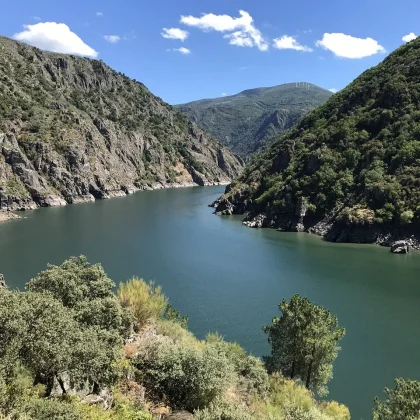 Así están los embalses de Alicante antes del verano
