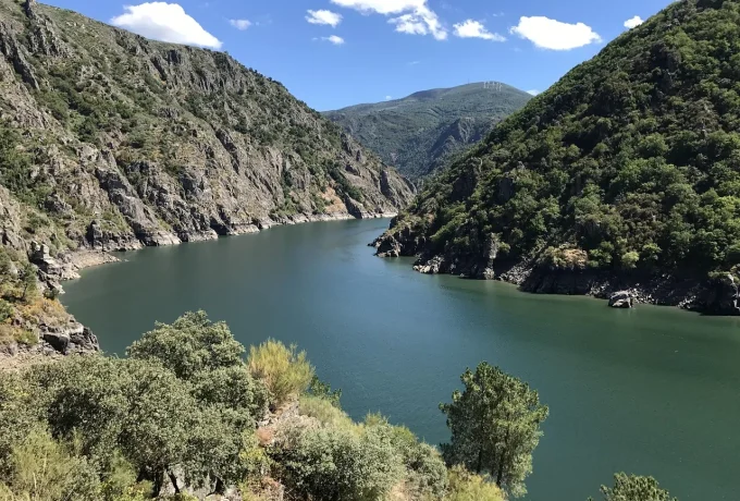 Así están los embalses de Alicante antes del verano