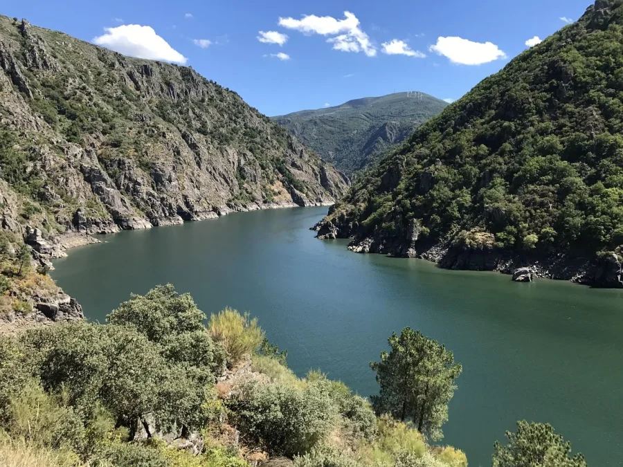 Así están los embalses de Alicante antes del verano
