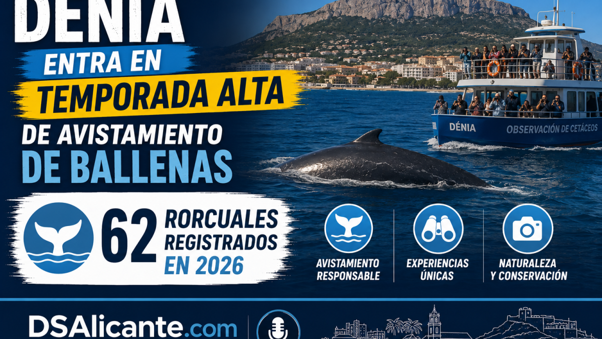 Ballenas en Dénia 62 rorcuales avistados en 2026