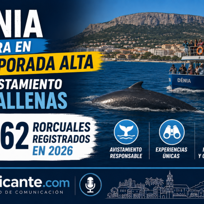 Ballenas en Dénia 62 rorcuales avistados en 2026