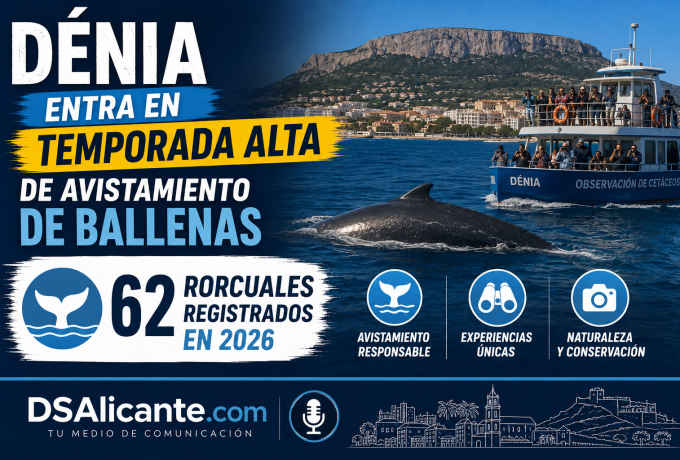 Ballenas en Dénia 62 rorcuales avistados en 2026