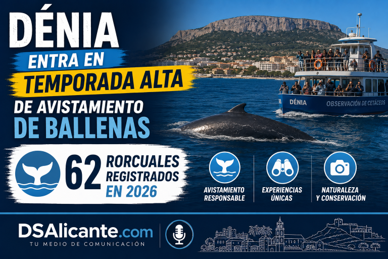 Ballenas en Dénia 62 rorcuales avistados en 2026